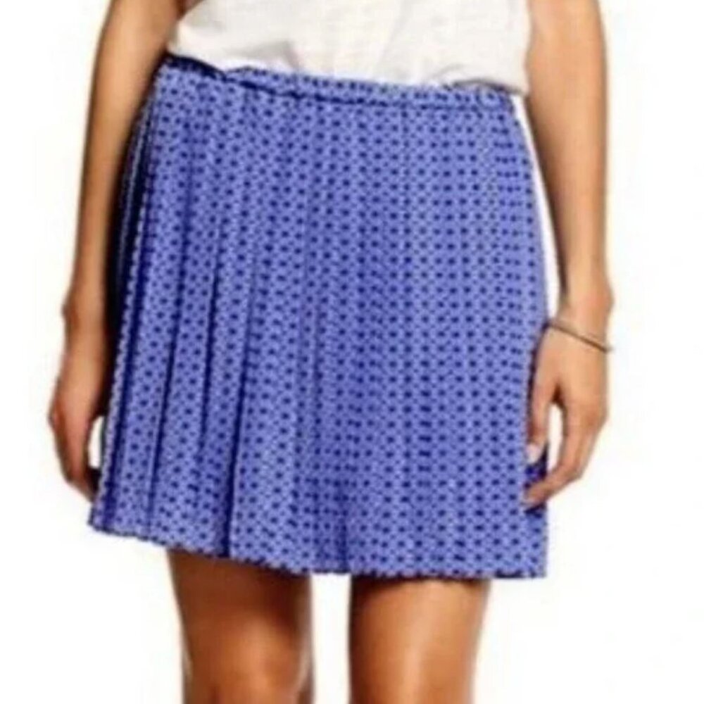 Banana Republic Pleated Skirt